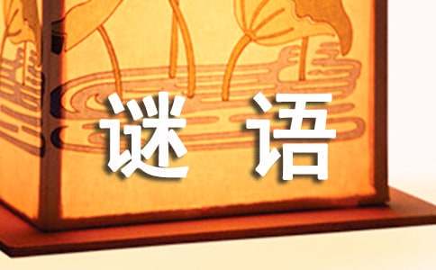 敏捷性训练对篮球比赛表现的影响及解决方案_2